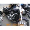 IMG_8143.jpg 115.1K