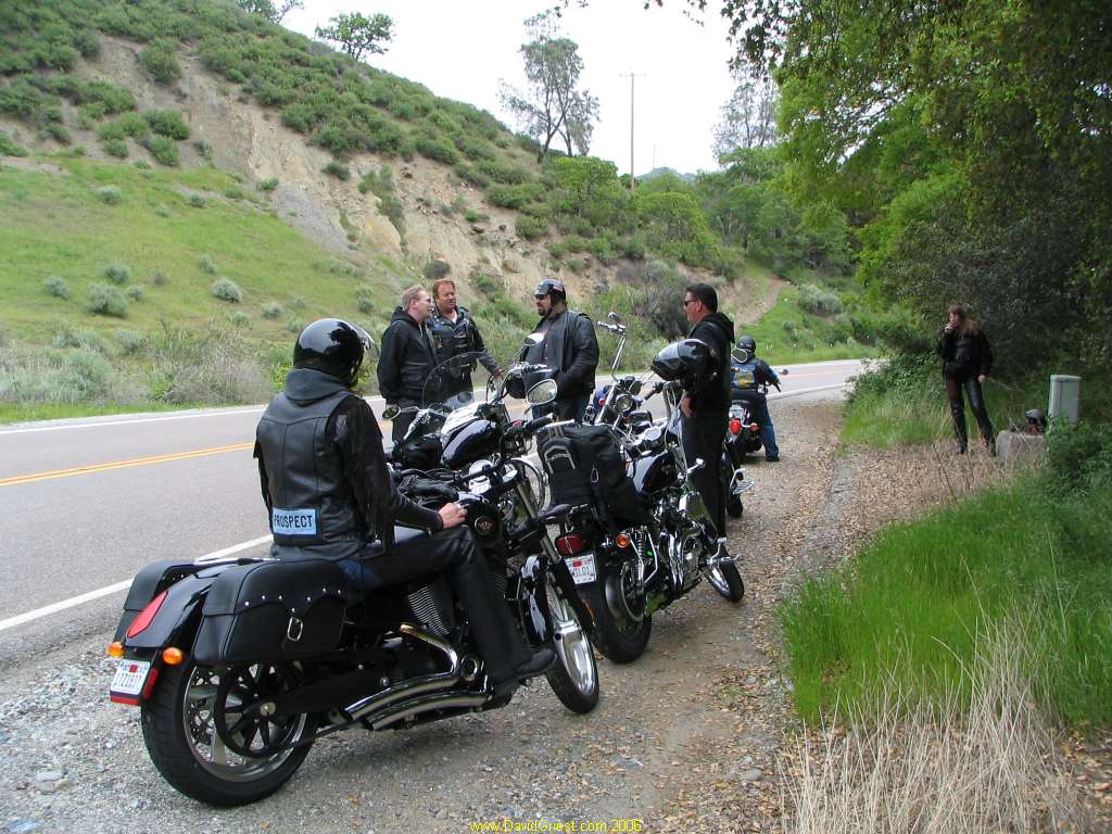 IMG_8150.jpg 134.6K