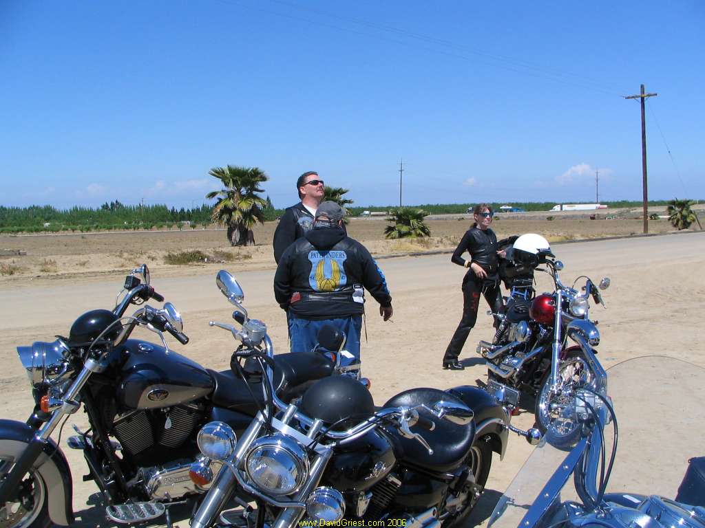 IMG_8156.jpg 89.2K